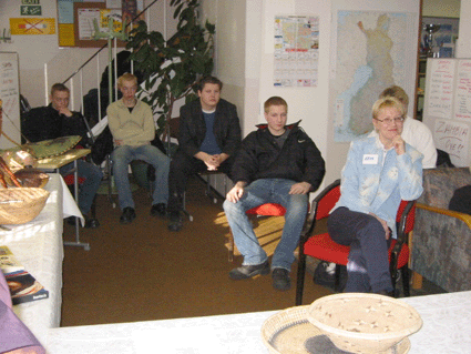 Yleis